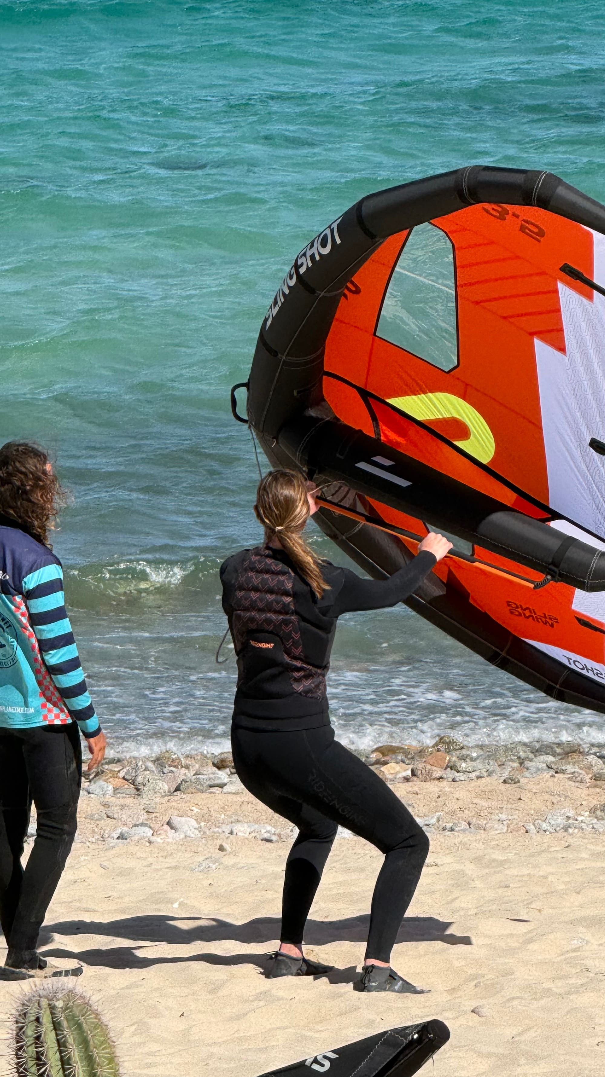 Kite o wing: con cuál empezar en BCS