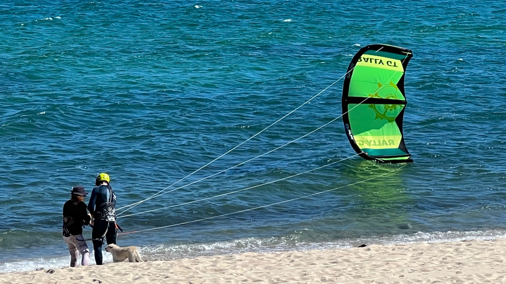 Grupo de kites volando sobre la bahía